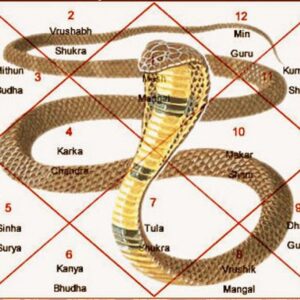 kaal sarp dosh nivaran puja
